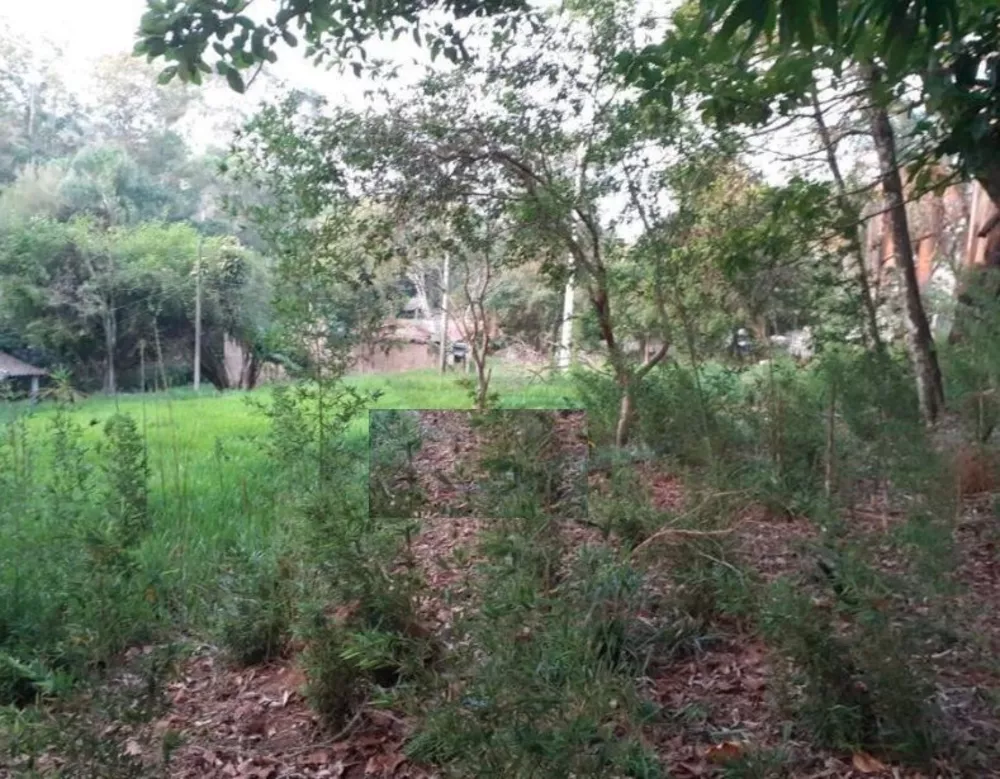 Terreno, 4377 m² - Foto 3