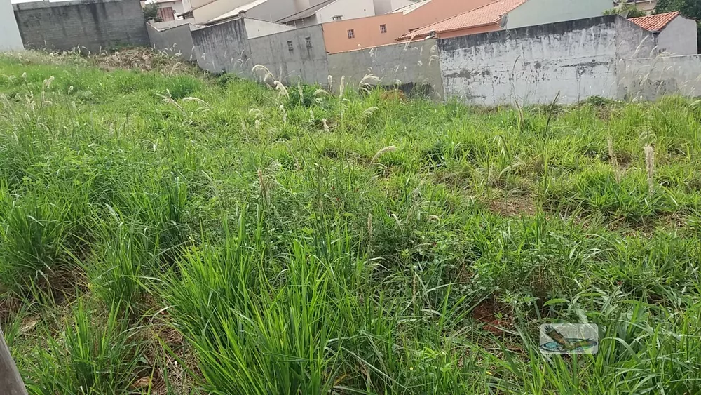 Terreno à venda, 250m² - Foto 2