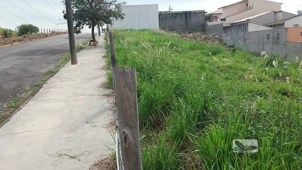 Terreno, 250 m² - Foto 6