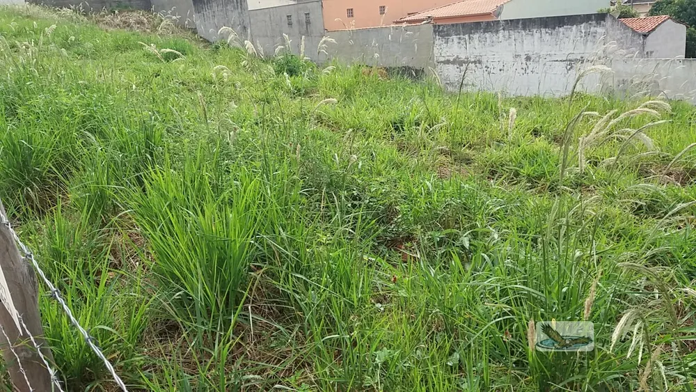 Terreno, 250 m² - Foto 8