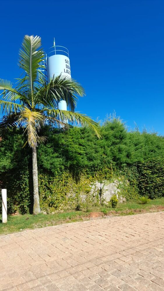 Chácara à venda com 3 quartos, 10000m² - Foto 6
