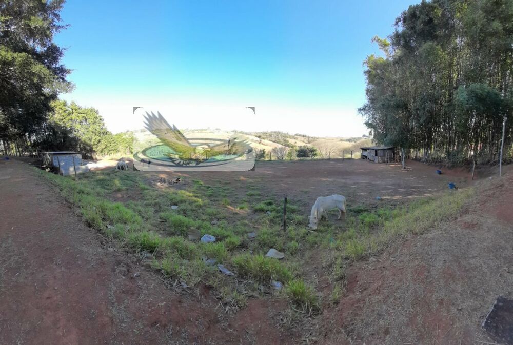 Chácara à venda com 3 quartos, 10000m² - Foto 19