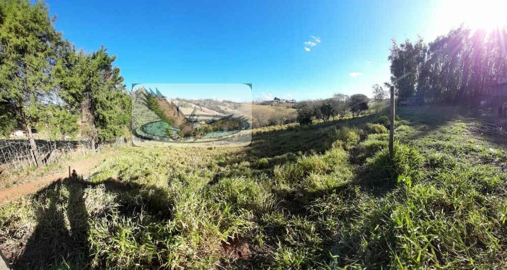 Chácara à venda com 3 quartos, 10000m² - Foto 20