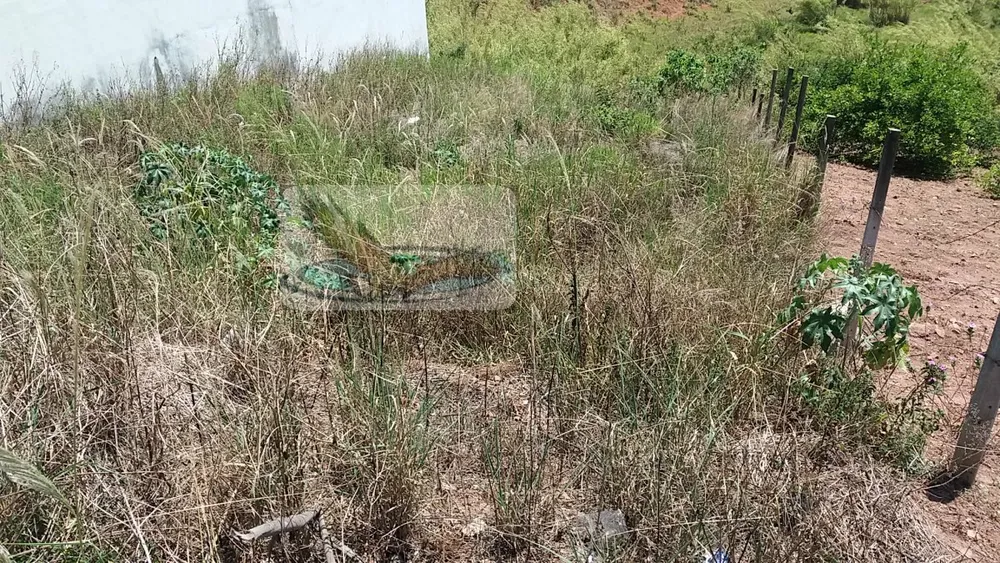 Terreno, 250 m² - Foto 7