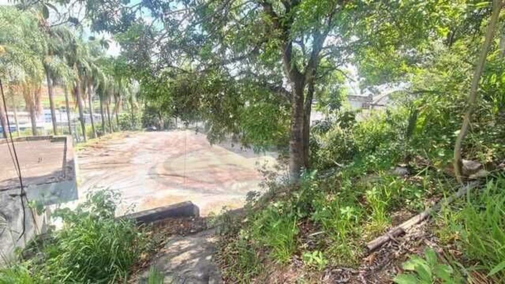 Terreno, 4 hectares - Foto 13