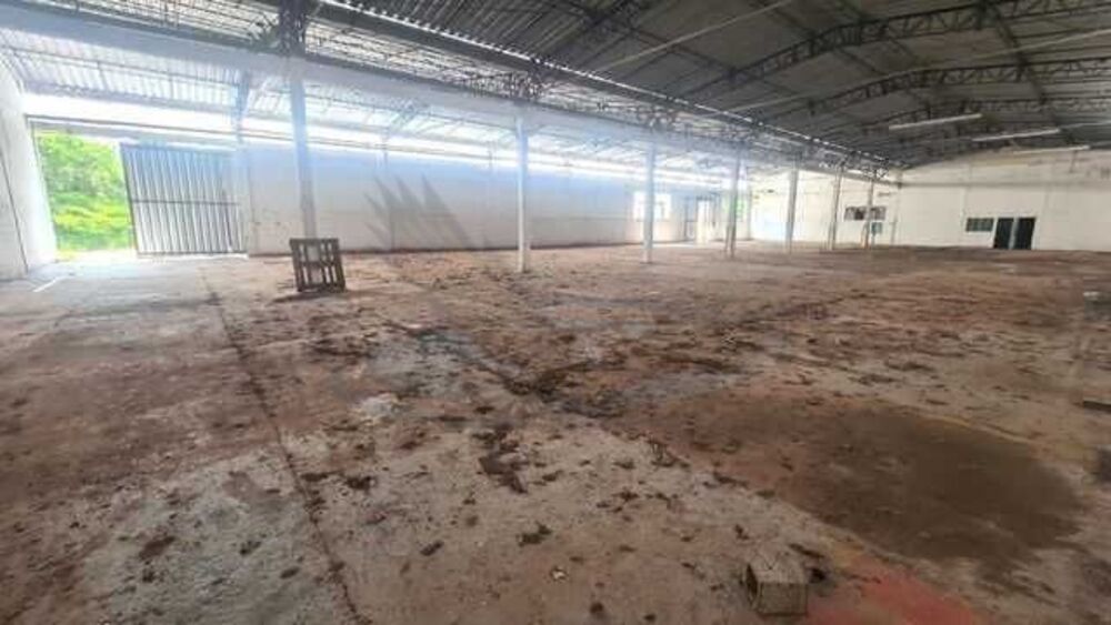 Terreno, 4 hectares - Foto 8