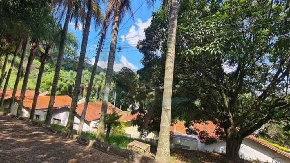 Terreno, 4 hectares - Foto 18