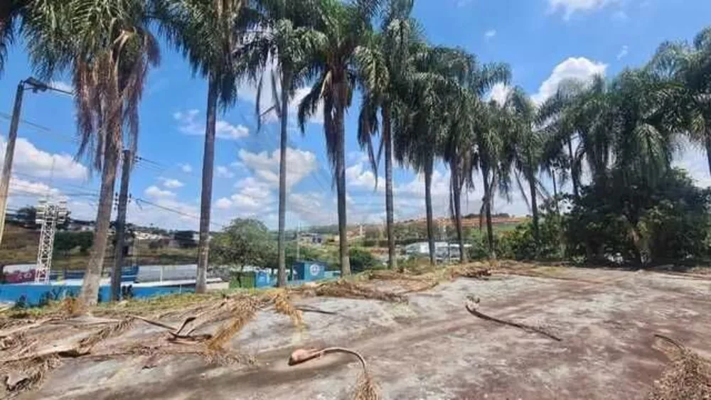 Terreno, 4 hectares - Foto 1