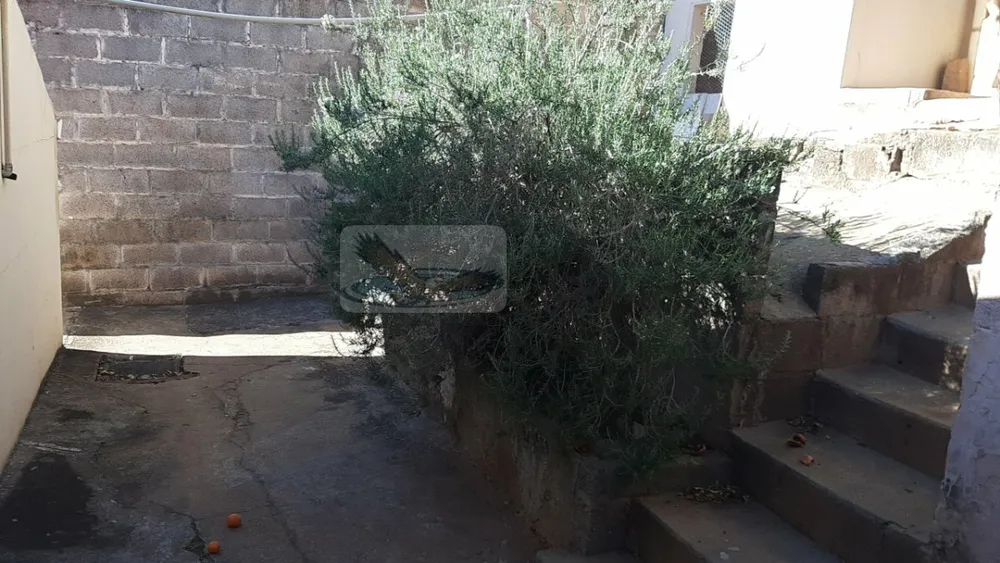 Casa, 3 quartos, 123 m² - Foto 16