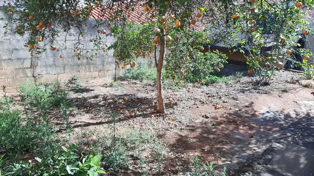 Casa, 3 quartos, 123 m² - Foto 14