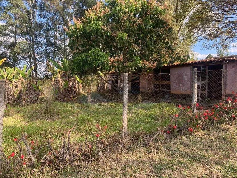 Sítio, 3 quartos, 4 hectares - Foto 17