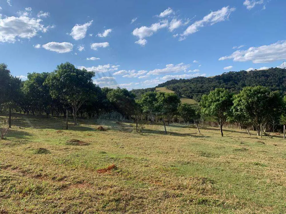 Sítio, 3 quartos, 4 hectares - Foto 19