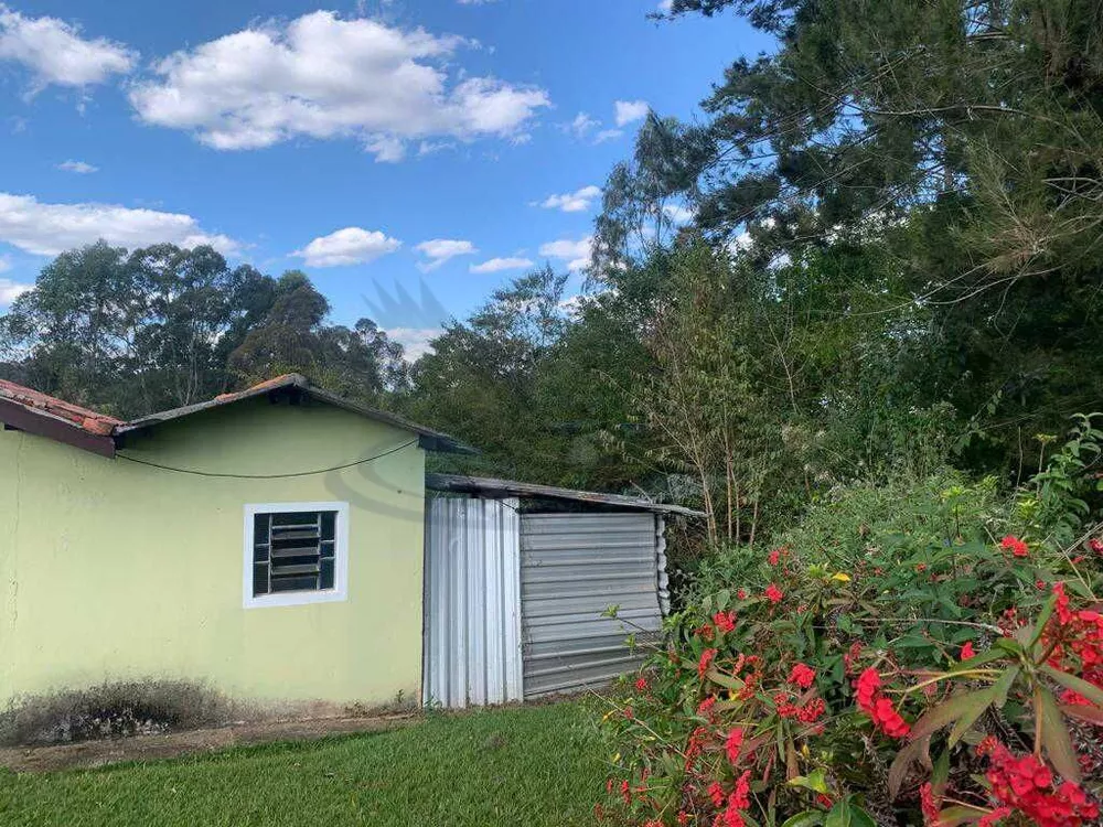 Sítio, 3 quartos, 4 hectares - Foto 4