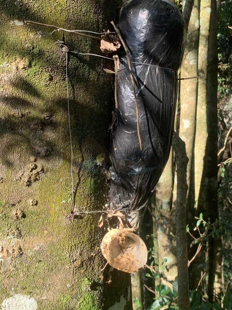 Sítio, 3 quartos, 4 hectares - Foto 16