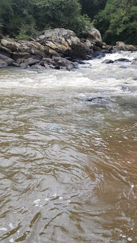 Terreno, 1255 m² - Foto 11