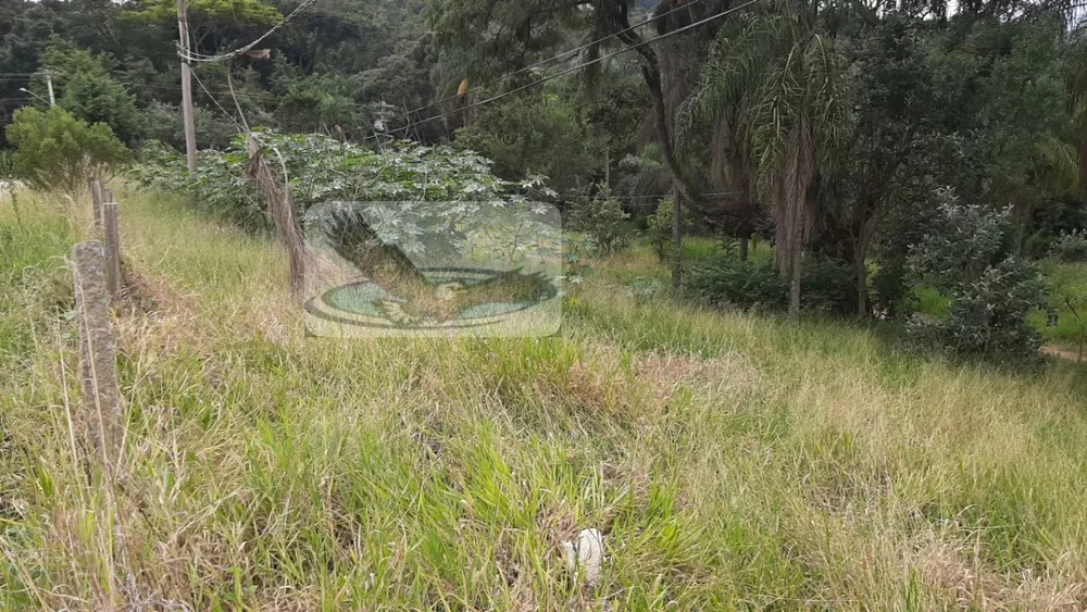 Terreno, 2 hectares - Foto 5