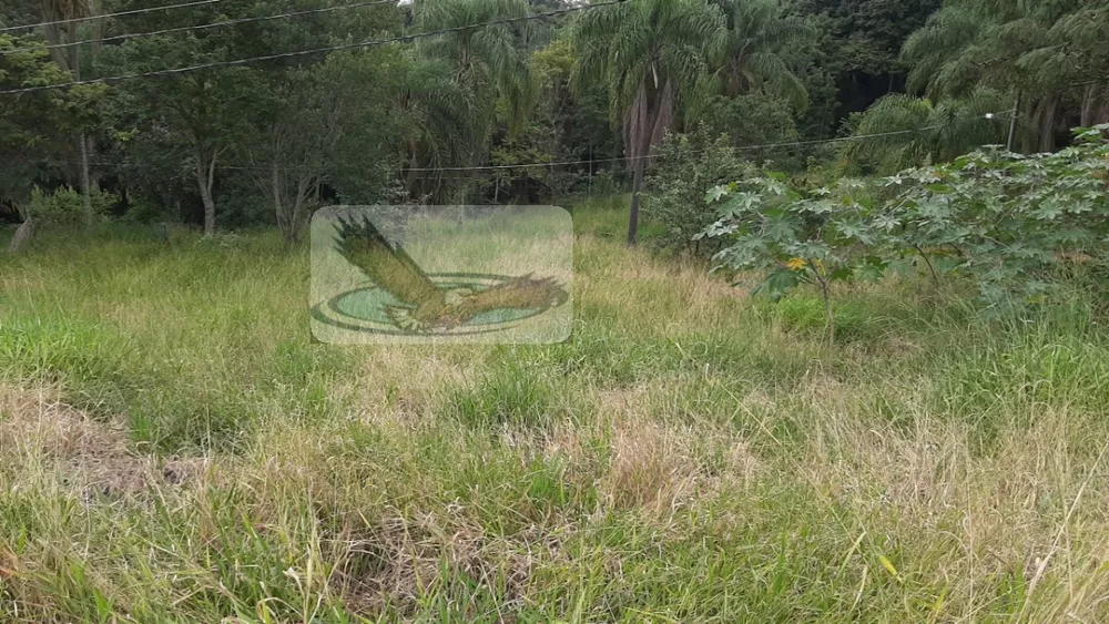 Terreno, 2 hectares - Foto 6