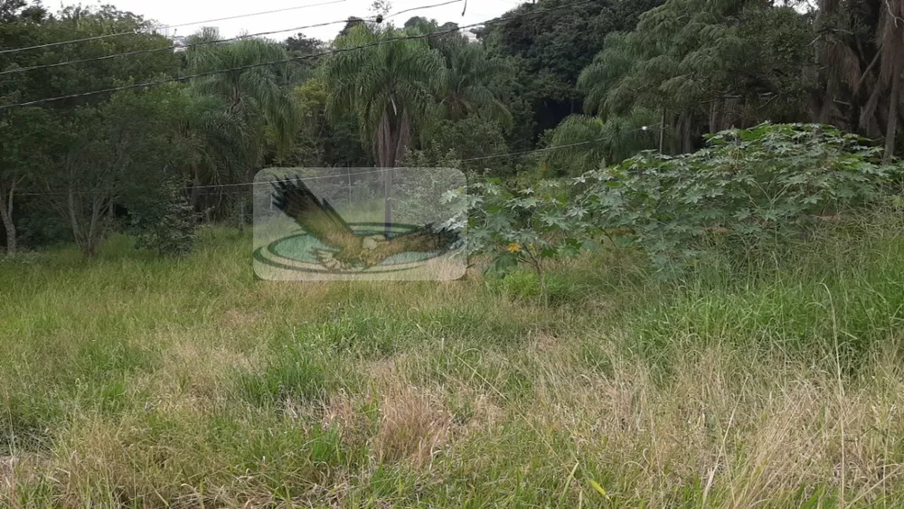 Terreno, 2 hectares - Foto 7