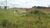 Loteamento e Condomínio, 1 hectares - Foto 6