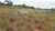 Loteamento e Condomínio, 1 hectares - Foto 8