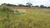 Loteamento e Condomínio, 1 hectares - Foto 7