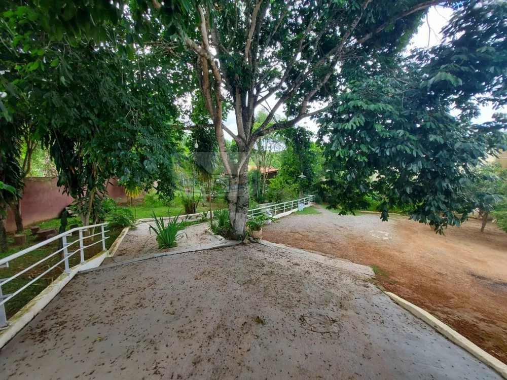 Sítio, 3 quartos, 1225 m² - Foto 15