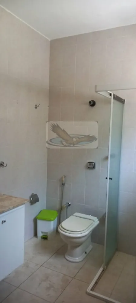 Chácara, 3 quartos, 9823 m² - Foto 15