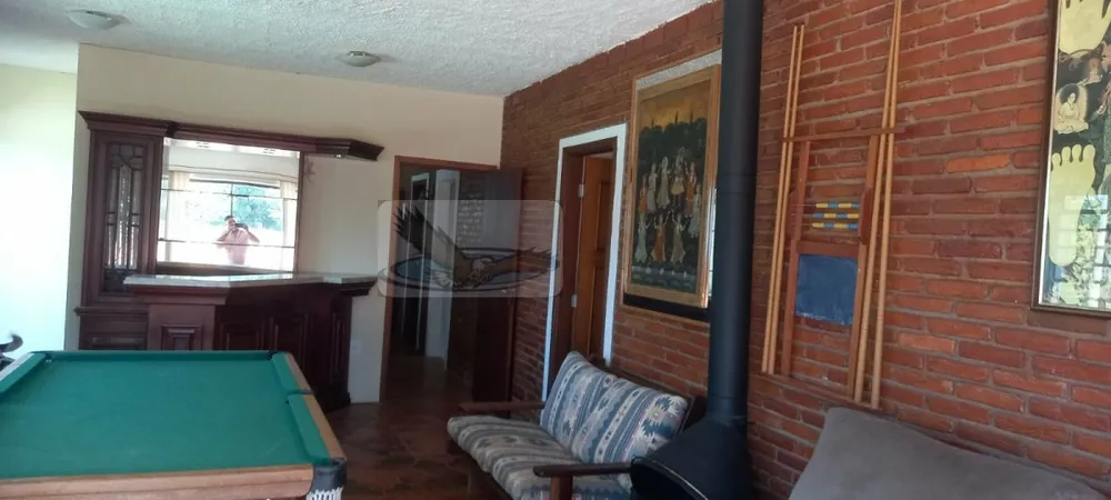 Chácara, 3 quartos, 9823 m² - Foto 6