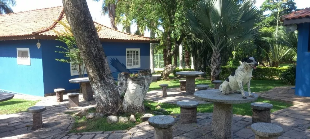 Chácara, 3 quartos, 9823 m² - Foto 3