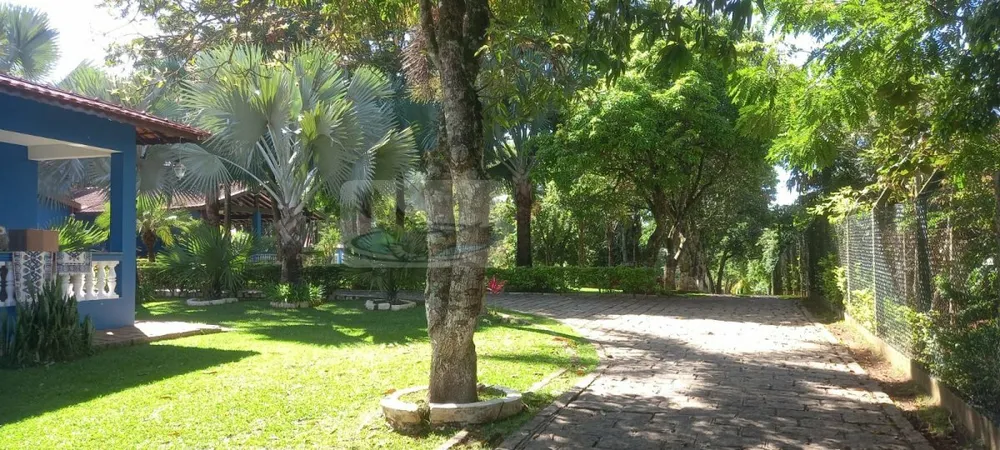 Chácara, 3 quartos, 9823 m² - Foto 4