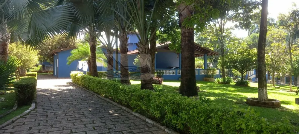 Chácara, 3 quartos, 9823 m² - Foto 12