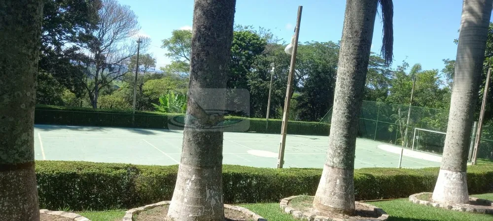 Chácara, 3 quartos, 9823 m² - Foto 10