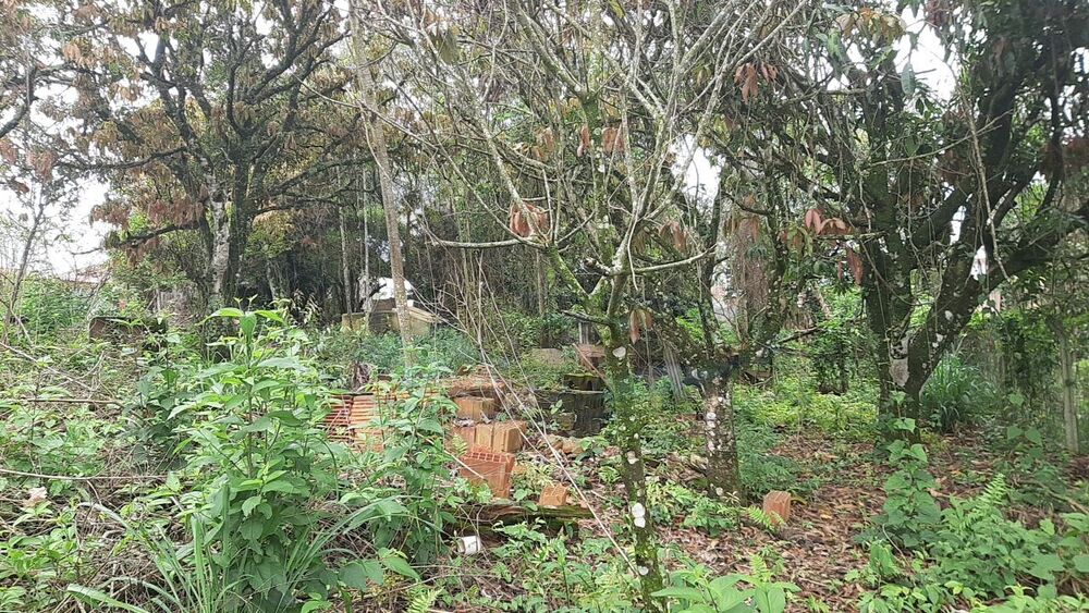 Terreno, 1000 m² - Foto 14