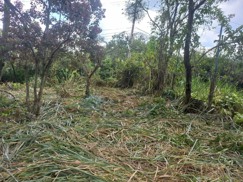 Terreno, 1000 m² - Foto 24