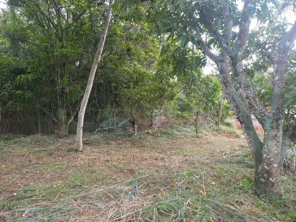 Terreno, 1000 m² - Foto 17