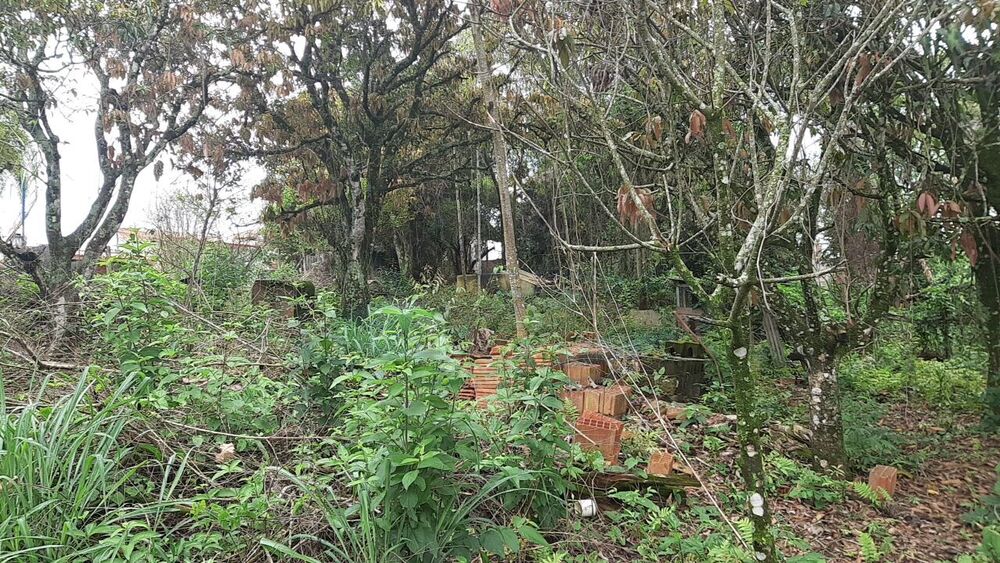 Terreno, 1000 m² - Foto 10