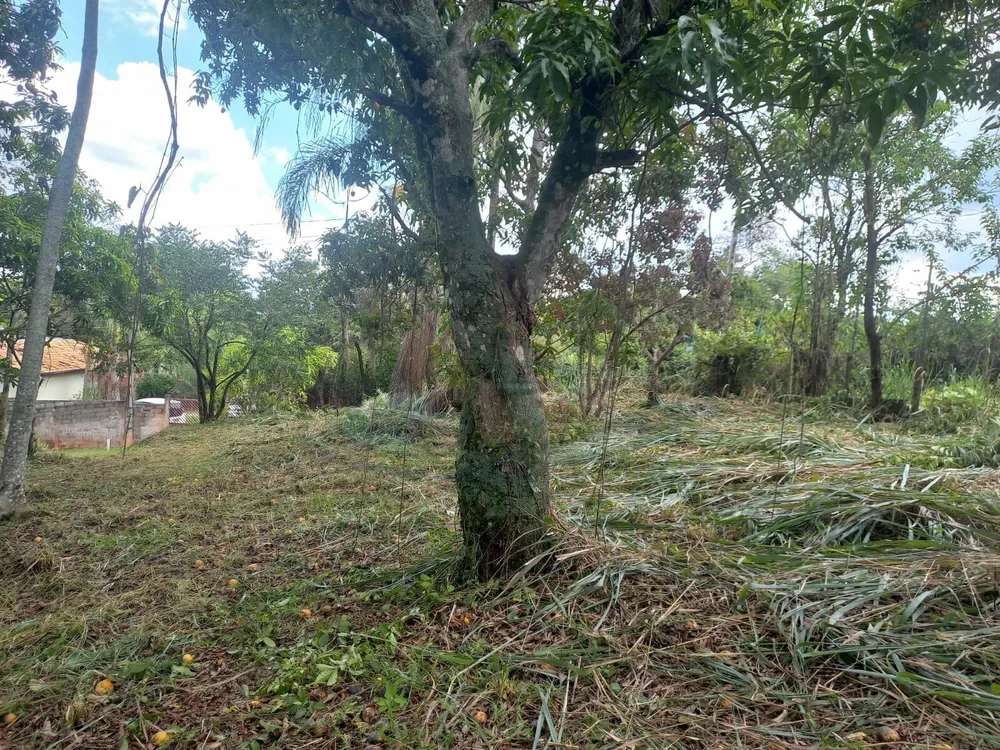 Terreno, 1000 m² - Foto 22