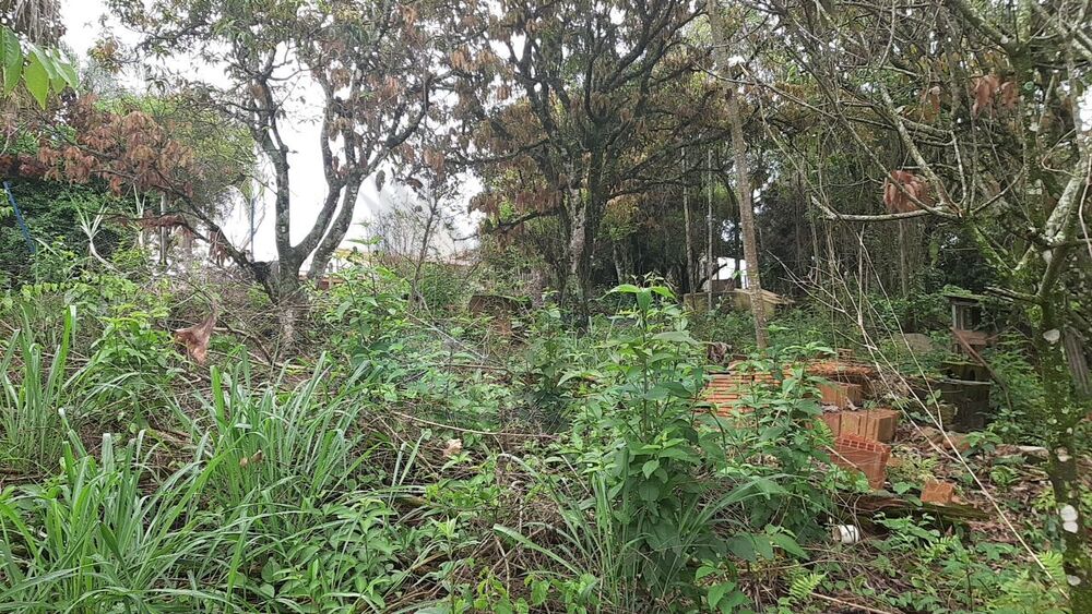 Terreno, 1000 m² - Foto 12