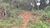 Terreno, 1000 m² - Foto 1