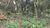 Terreno, 1000 m² - Foto 4