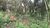 Terreno, 1000 m² - Foto 2
