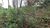 Terreno, 1000 m² - Foto 5