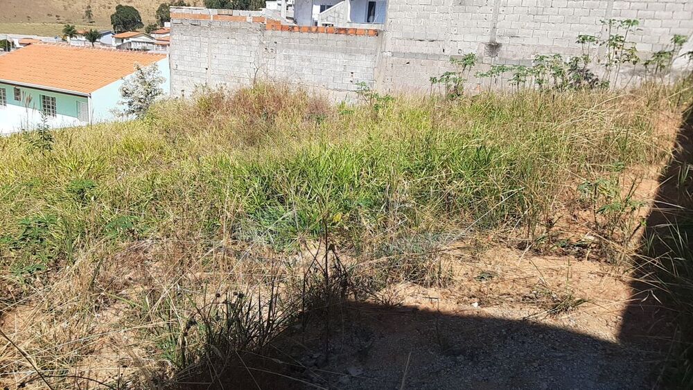 Terreno, 250 m² - Foto 6