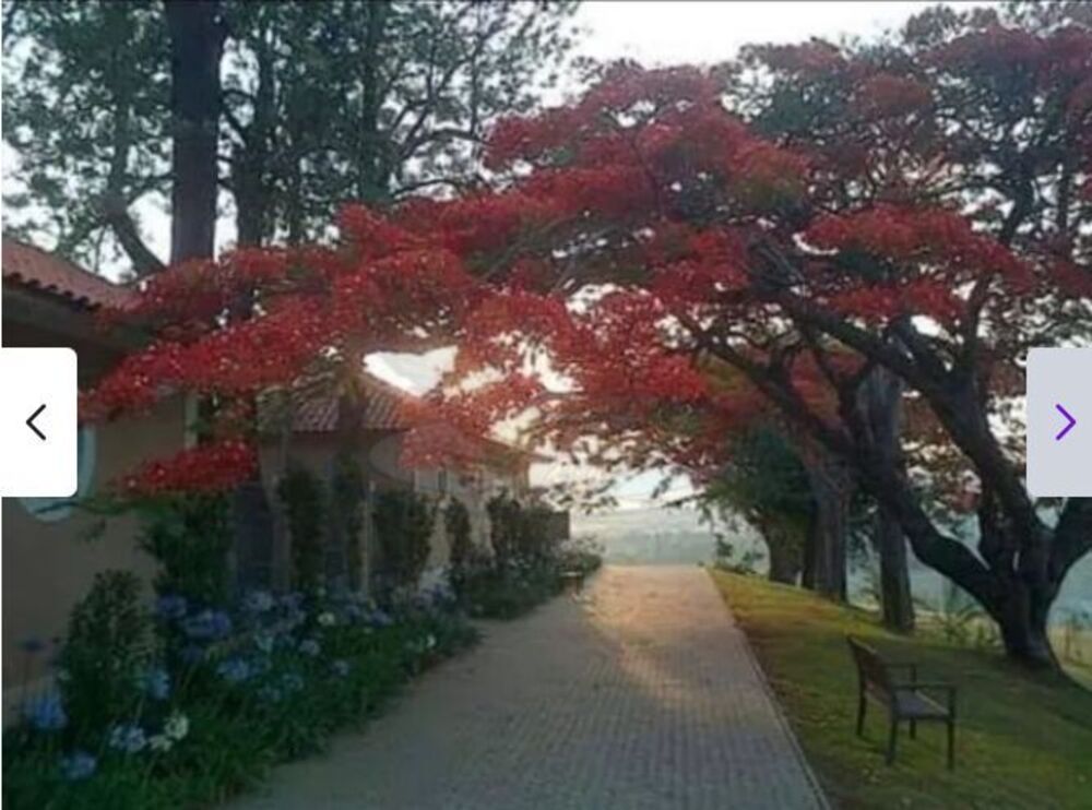 Terreno, 588 m² - Foto 3