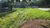 Terreno, 1309 m² - Foto 4