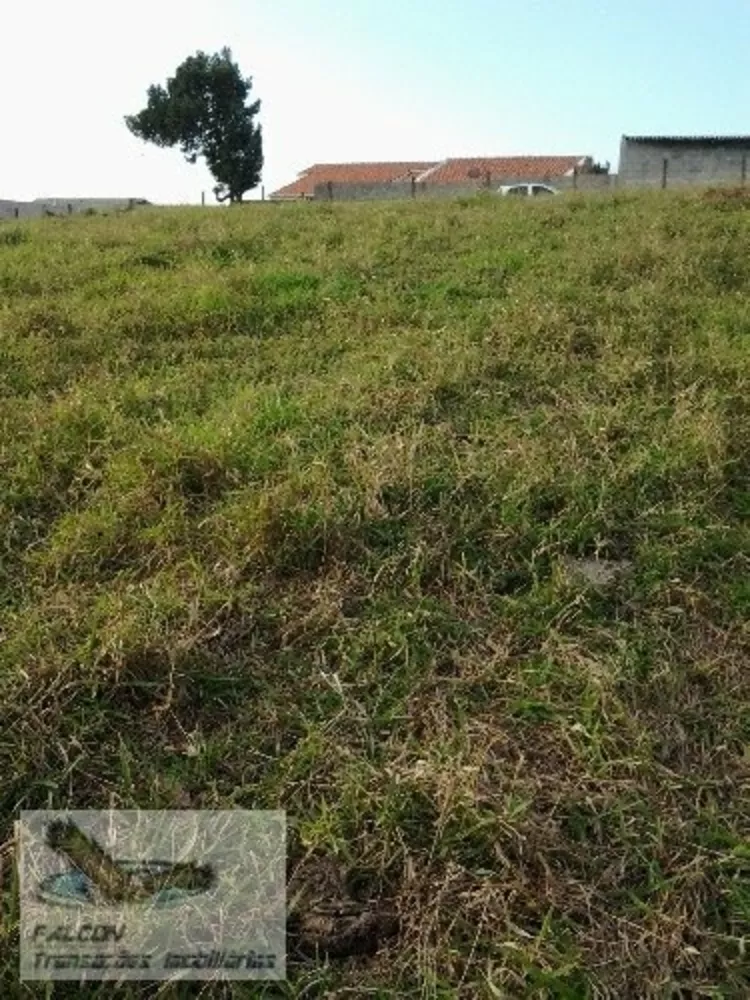 Terreno, 6 hectares - Foto 1