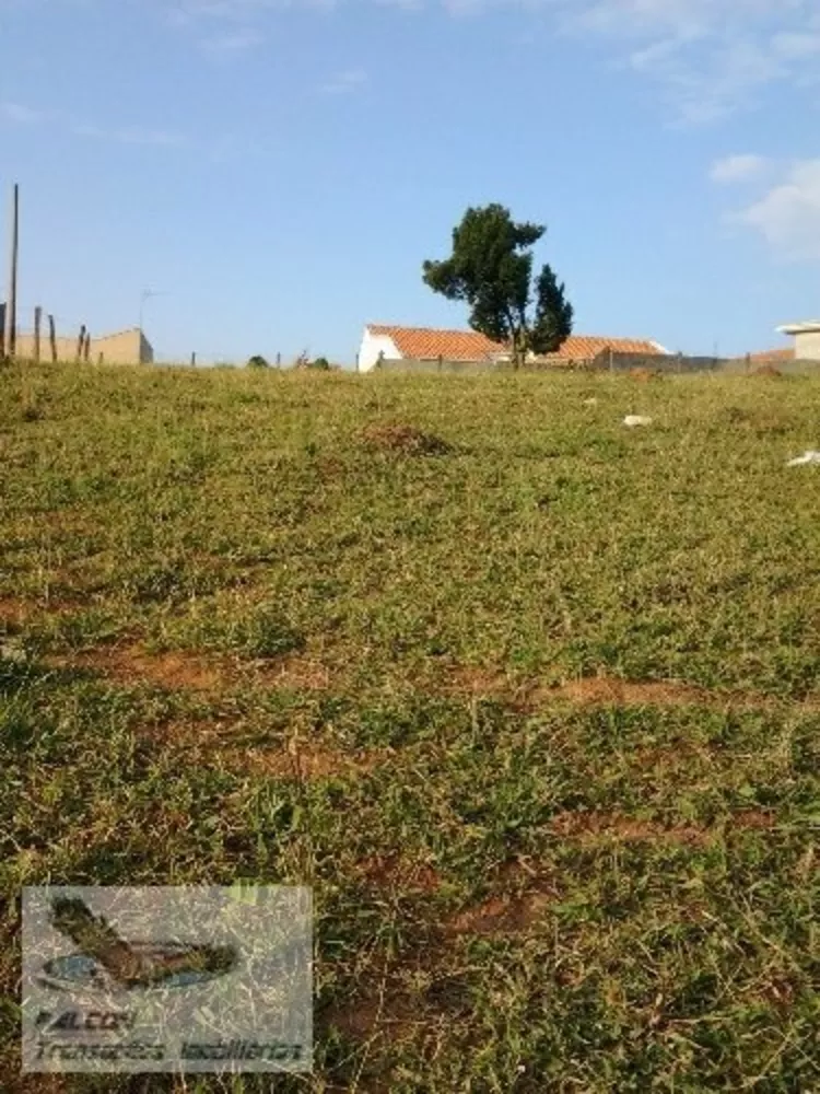 Terreno, 6 hectares - Foto 4