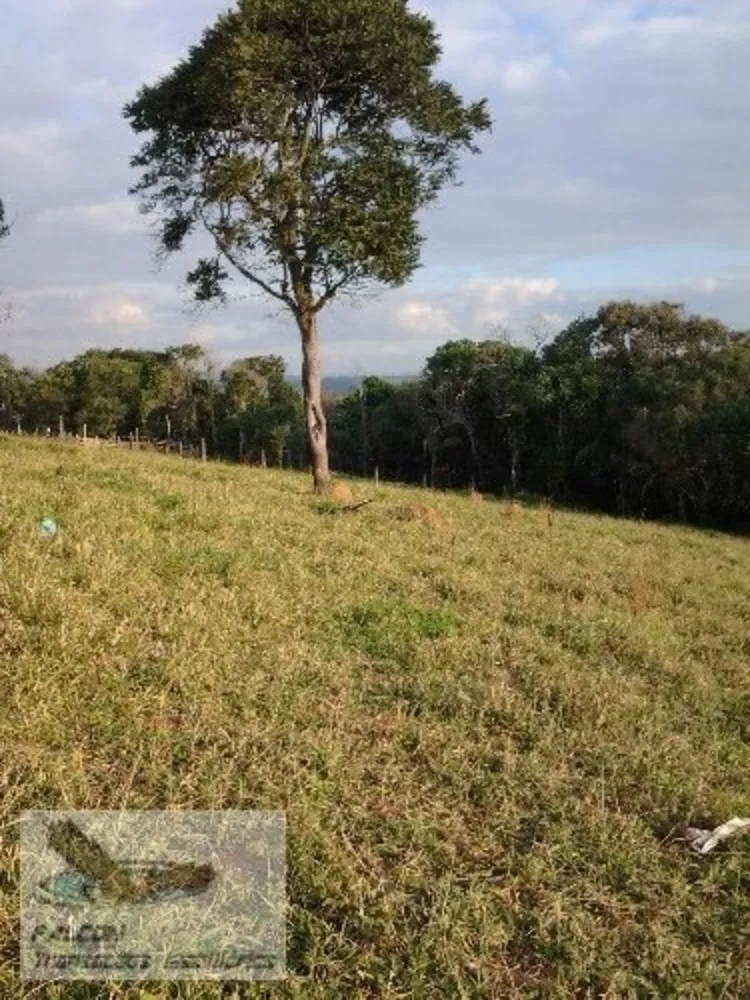 Terreno, 6 hectares - Foto 3