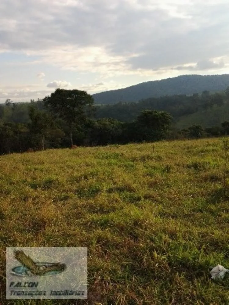 Terreno, 6 hectares - Foto 8