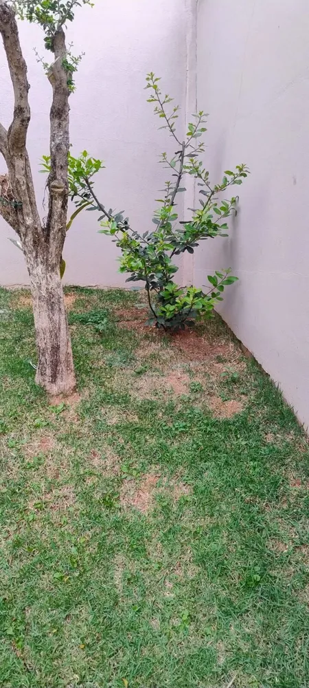 Casa, 3 quartos, 203 m² - Foto 12